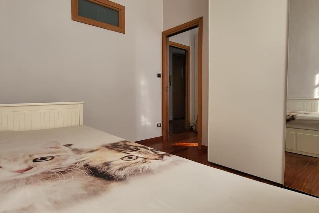 Corso Spezia 55_ Appartamento Zona Ospedali Turyn Zewnętrze zdjęcie